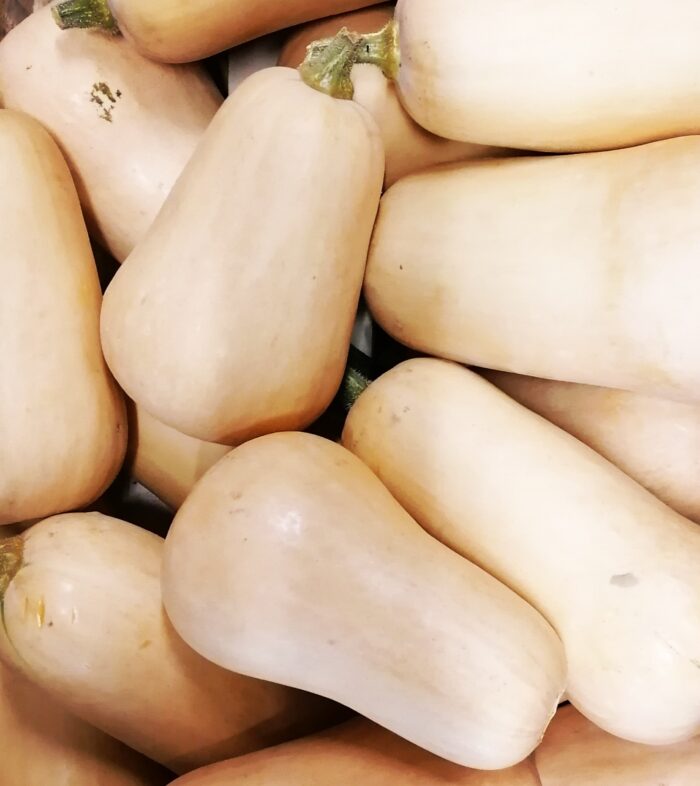 Butternut-Kürbis – Bild 1