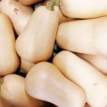 Kürbis - Butternut -