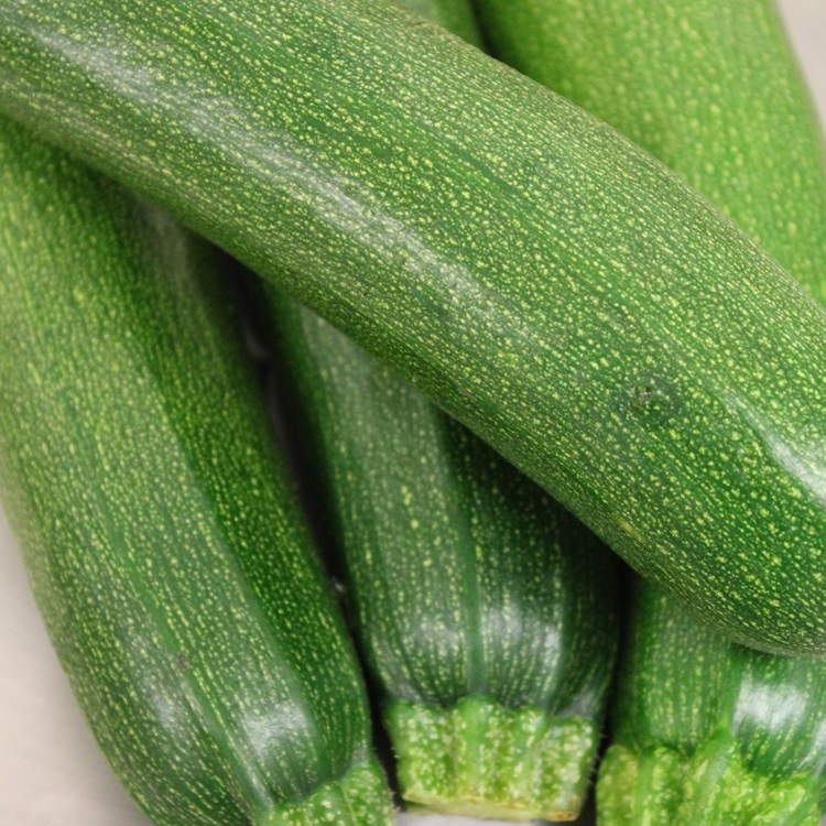 Zucchini Zucchini – Bild 1