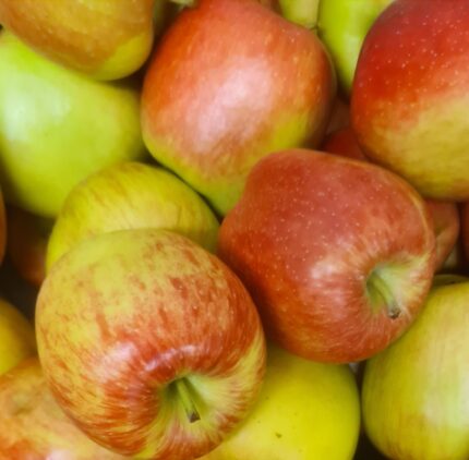 Äpfel Sorte: Delbare