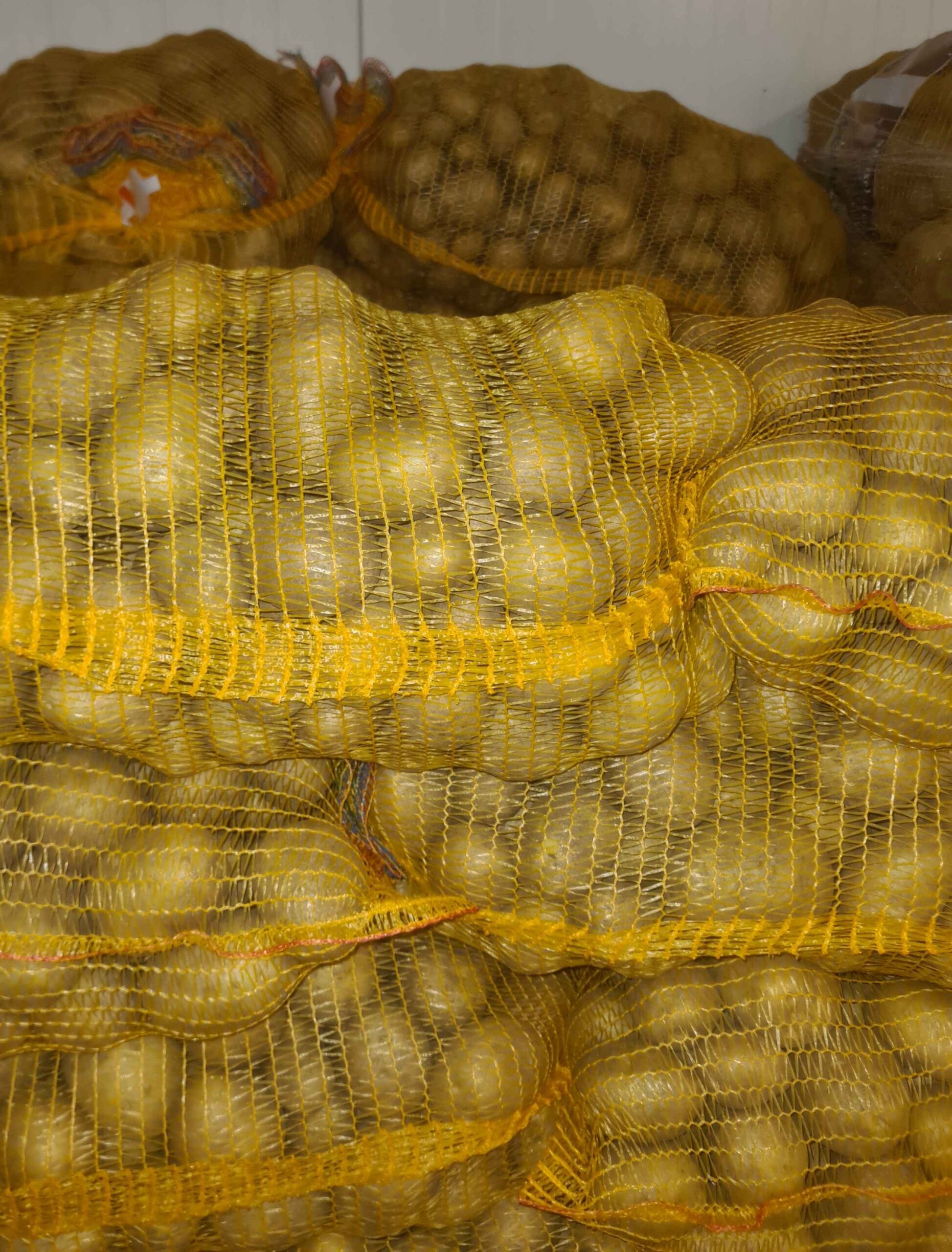 Gala_Produktbild_Onlineshop Heidekartoffeln Sorte: Gala vorwiegend festkochend 25kg – Bild 1