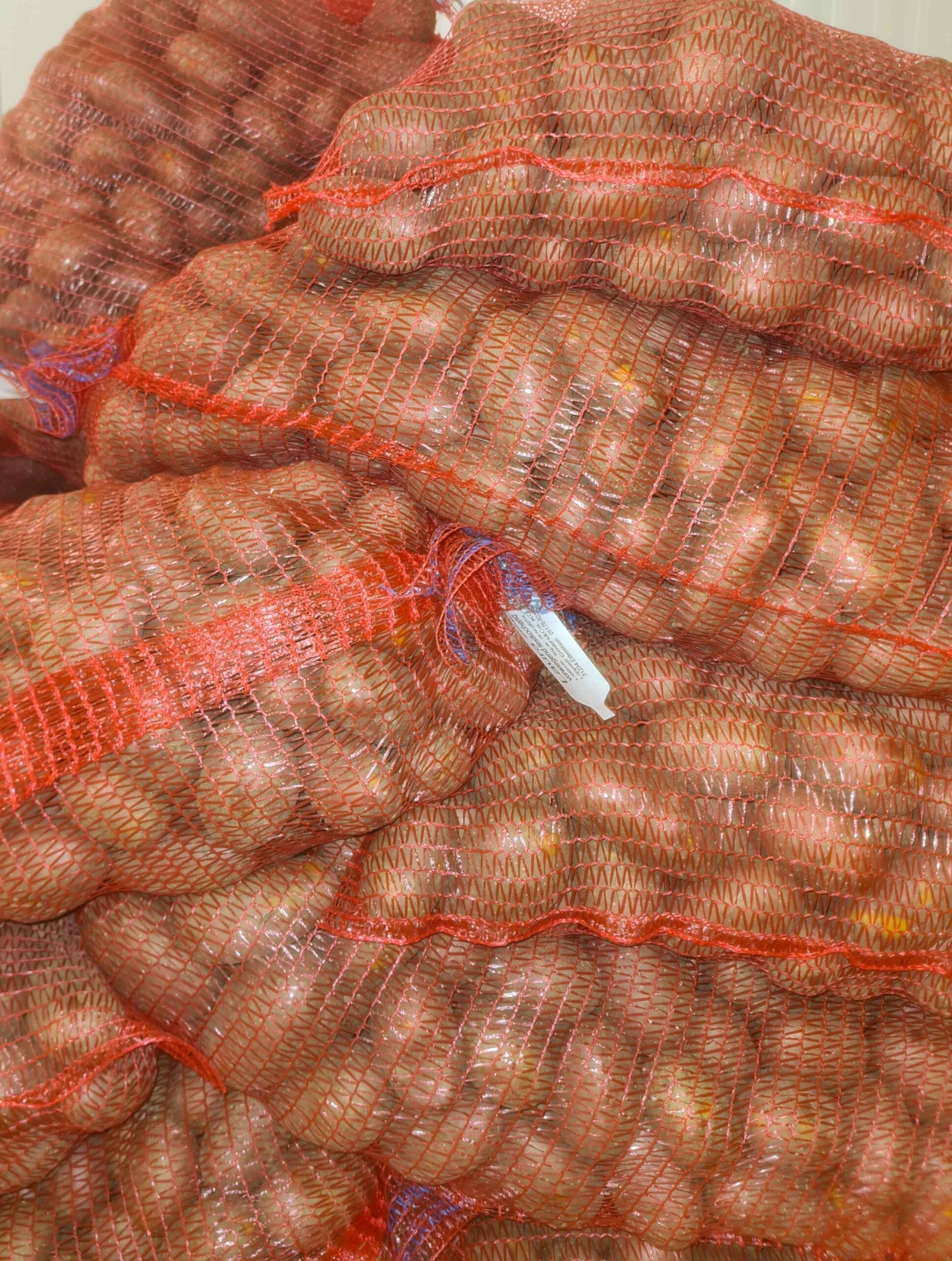 Laura_Produktbild_Onlineshop Heidekartoffeln Sorte: Laura vorwiegend festkochend 25kg – Bild 1